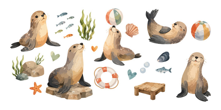 Watercolor cute wildlife sea lion and ocean beach elements