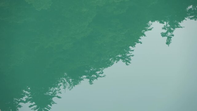水面に木々のシルエットが反射する抽象的な自然背景
