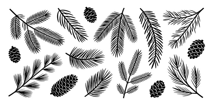 Leaves and Pinecone Botanical Line Art Pattern with Feather-Like Foliage Sprigs for Nature Themed Design