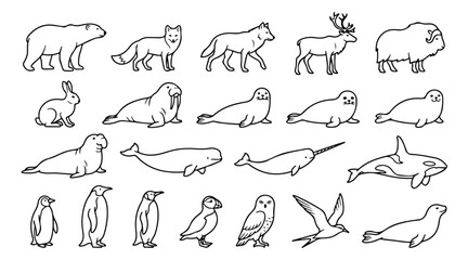 Minimalist arctic animal line icons, set of 21 polar wildlife vector illustrations, simple black outline winter fauna characters for educational design © Shahzad
