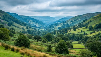 Obraz premium Emerald green rolling hills creating a vast valley under a cloudy sky, a quintessential pastoral landscape