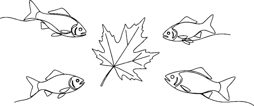 Geometric Line Drawing of Fish and Maple Leaf Design.