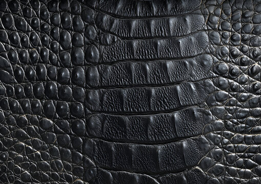 Close-up of a dark, textured surface showing a reptile's hide. Scales and ridges create a pattern of light and shadow
