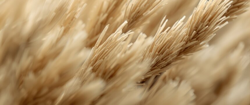 High detail bamboo fiber material visualized under microscope at low power magnification