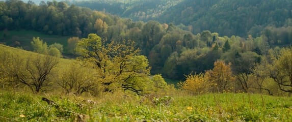 Obraz premium Vibrant springtime view of lush meadows and fresh foliage