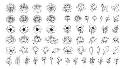 Fototapeta premium Minimalist hand drawn floral line art collection, elegant black ink flower sketches and botanical leaf icons, set of 60 vector illustrations