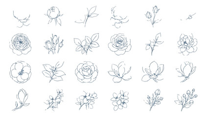 Minimalist floral line art collection, 24 hand drawn botanical vector icons, elegant rose and magnolia flower sketches for wedding invitations © Muhammad