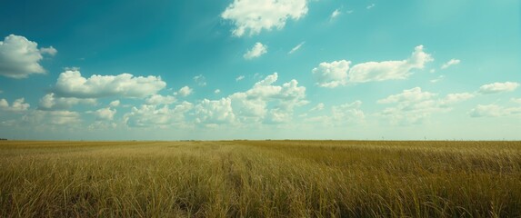 Obraz premium Warm sunny day showing blue sky and puffy clouds over a wide grassy dike scene