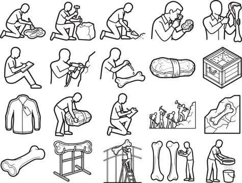 A collection of line art icons depicts the various stages and tools involved in archaeological excavation and fossil discovery, from unearthing bones to crating them for transport.