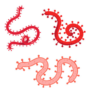 Ebola Virus Pathogen Vector Set Isolated Medical Microorganism Illustration Collection