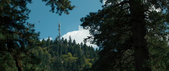 Fototapeta premium Mountain summit antenna surrounded by thick green forest trees