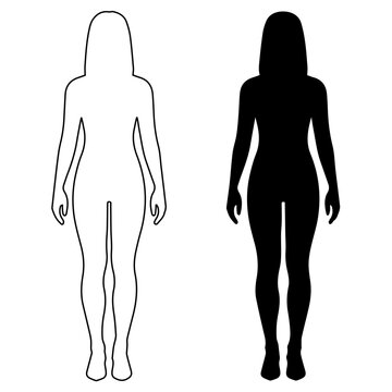 woman human body silhouette, female standing figures,front view anatomy outline eps 10