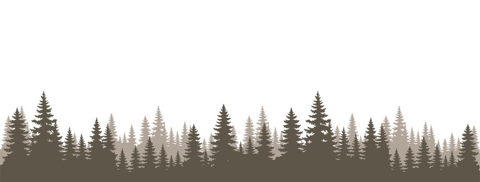 Silhouette of pine forest trees border isolated on white background vector illustration