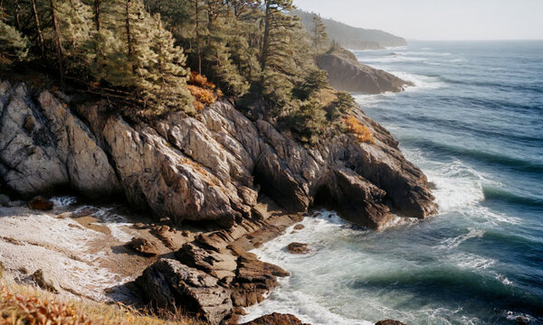 C&ocirc;te rocheuse sauvage avec for&ecirc;t de pins et vagues d&eacute;ferlantes sur littoral pr&eacute;serv&eacute;