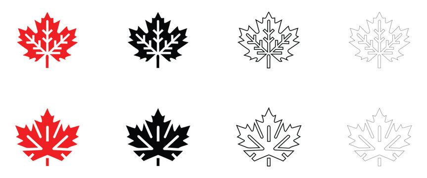 Maple leaf vector icon, autumn fall maple leaves Canada map vector, silhouette and line art illustration