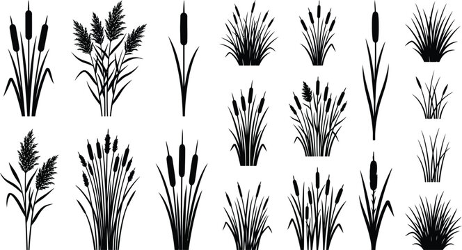 Wetland plants and cattail silhouettes botanical grass collection set
