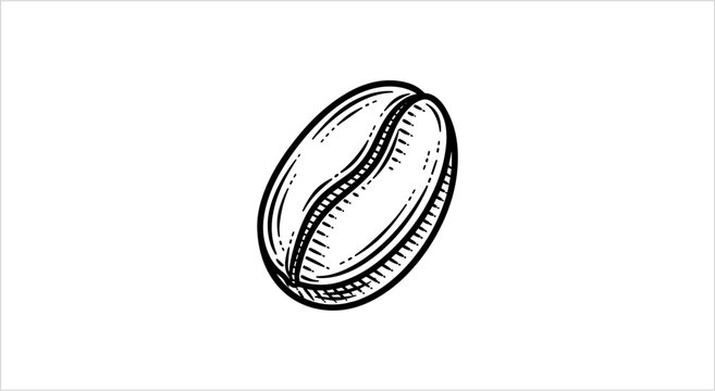 Single Coffee Bean Illustration Hand Drawn Style.