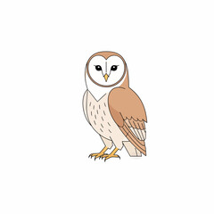 Fototapeta premium Cute barn owl illustration standing in profile