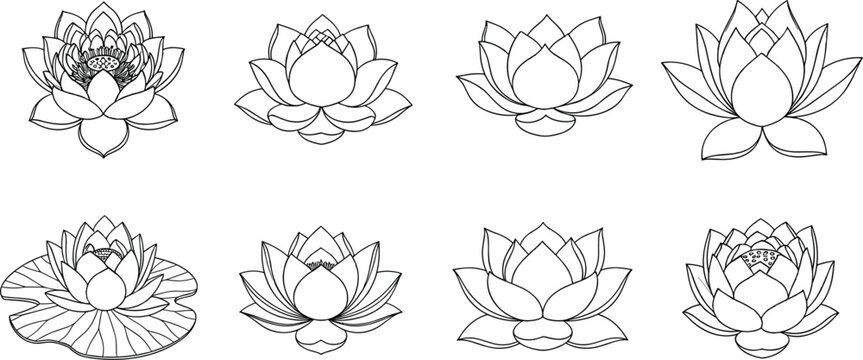Silhouettes of lotus flowers in artistic variations, symbolizing nature design, floral symmetry, decorative patterns, and creative botanical illustration themes
