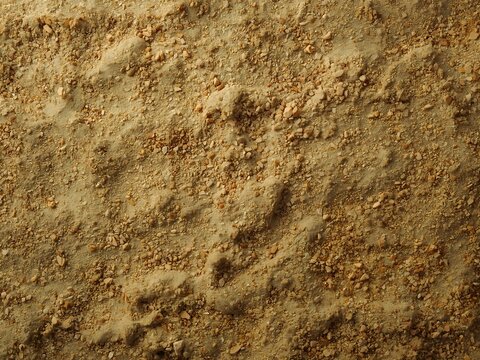 Uneven sandy earth texture with small pebbles and soil particles particle background backdrop crumbled