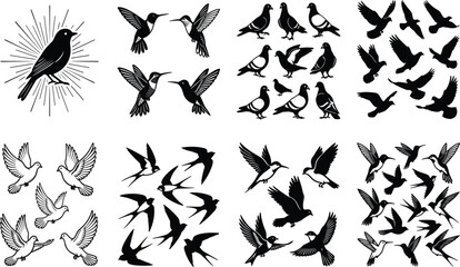 Bird silhouette vector mega collection flying hummingbird flock pigeon swallow dove line art graphic elements pack isolated on white background © MdShoriful
