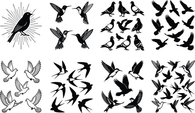 Bird silhouette vector mega collection flying hummingbird flock pigeon swallow dove line art graphic elements pack isolated on white background