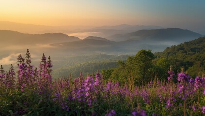 Naklejka premium Periodic Neelakurinji flowering every twelve years enchanting mountain landscapes