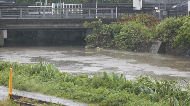大雨で増水した川にかかる橋の上を自動車が通過する
