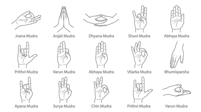 Detailed vector graphic illustration showing various traditional mudra hand gestures for yoga and spiritual meditation