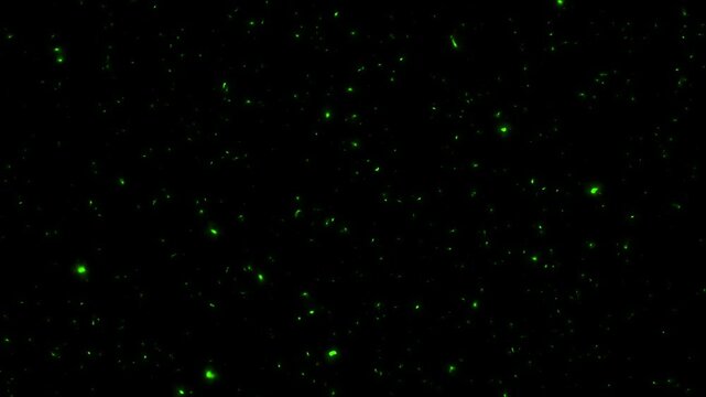 Green Glowing Particle Overlay on Black Background