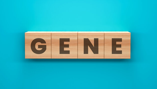 Wooden Blocks Spelling GENE: Simple wooden blocks are arranged in a line against a teal background, spelling out the word GENE.