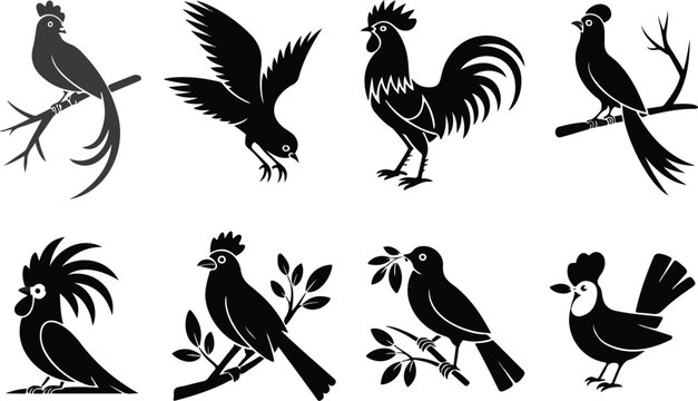 Bird of paradise silhouette collection featuring elegant tropical flowers in various artistic poses vector illustration