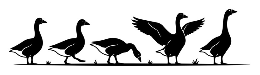 Fototapeta premium Geese silhouettes standing in various poses, showing natural movements like walking, grazing, and flapping wings
