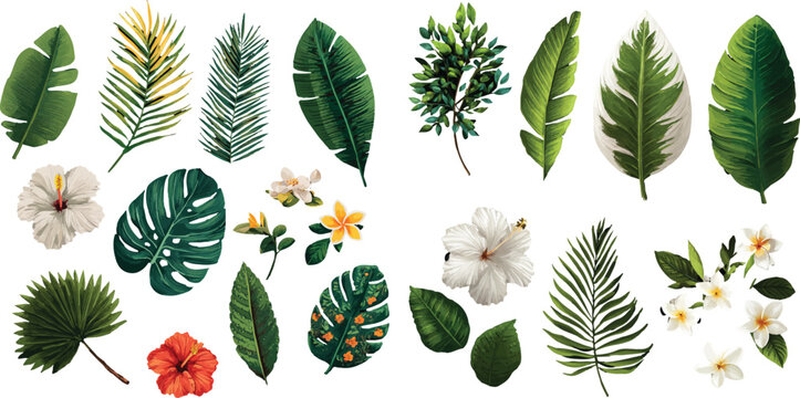 vector set of green leaves