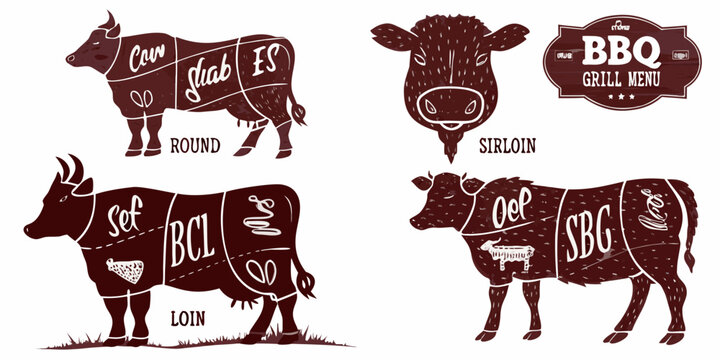 Butcher Diagram Of Cow Cuts Vintage Vector Illustration