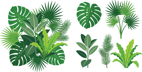 Fototapeta premium Tropical Foliage and Exotic Houseplants Vector Set Featuring Monstera Bird Nest Fern Fan Palm and Rubber Plant Bouquet Arrangement Graphic Illustration