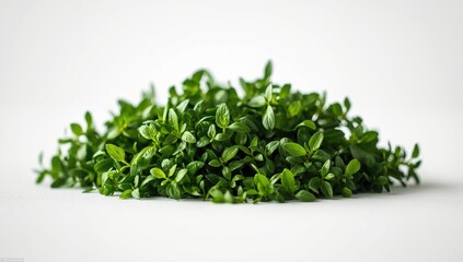 Fototapeta premium Freshly picked garden cress leaves arranged closely to show bright green color and distinct form on white backdrop