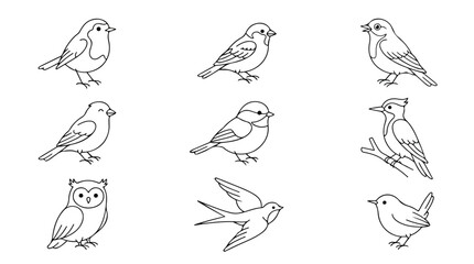 Charming Hand-Drawn Bird Icons Set, Vector Illustrations of Various Avian Species, Simple Outline Drawings for Nature and Wildlife Designs © Sidra