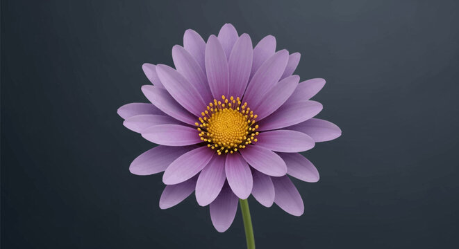 Detailed digital illustration of a single purple daisy flower with multiple layers of lilac petals and a bright yellow pollen center, shown from a front-facing macro perspective.