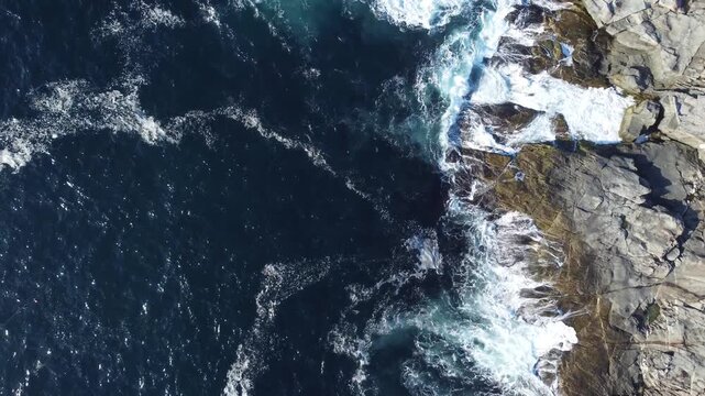 Newfoundland - Rugged Shore