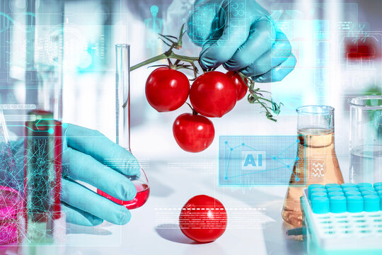 Gloved hands hold fresh cherry tomatoes in a smart food laboratory with blurred background and holographic AI data overlay for rapid quality control, nutrient analysis, and traceability.