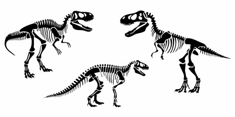 Dinosaur Skeletons Black And White Vector Illustration Set © Achinta