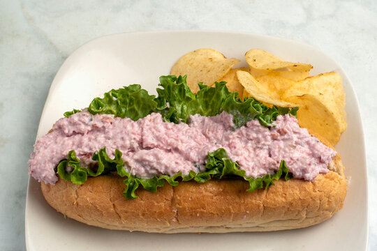 ham salad sub  with potato chips