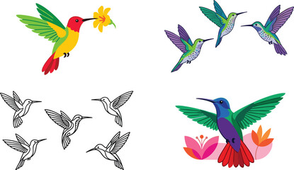 Obraz premium Hummingbird vector set colorful colibri with flower flat cartoon illustration minimalist outline line art graphic design elements pack isolated on white background