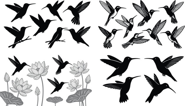 Hummingbird vector set lotus floral colibri detailed engraving silhouette collection flying bird line art icons pack isolated on white background