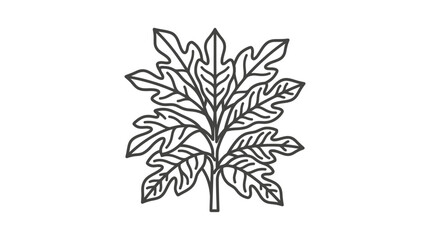 Tropical philodendron plant line art illustration on white background. © khirul afandi