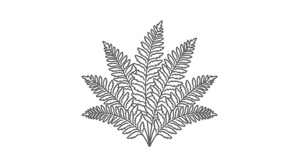 Symmetrical fern plant grouping botanical line art drawing. © khirul afandi