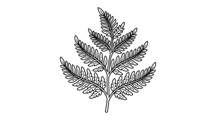 Minimalist black and white fern leaf line art illustration. © khirul afandi