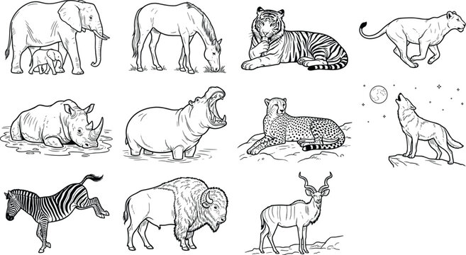 Detailed Wild Animal Line Art Vector Set Featuring Elephant with Calf, Horse, Tiger, Lioness, Rhino, Hippo, Cheetah, Howling Wolf, Zebra, Bison, and Kudu Antelope