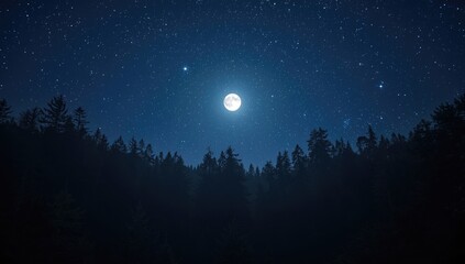Obraz premium Night forest vista featuring radiant moonlight and dazzling stars producing tranquil ambiance